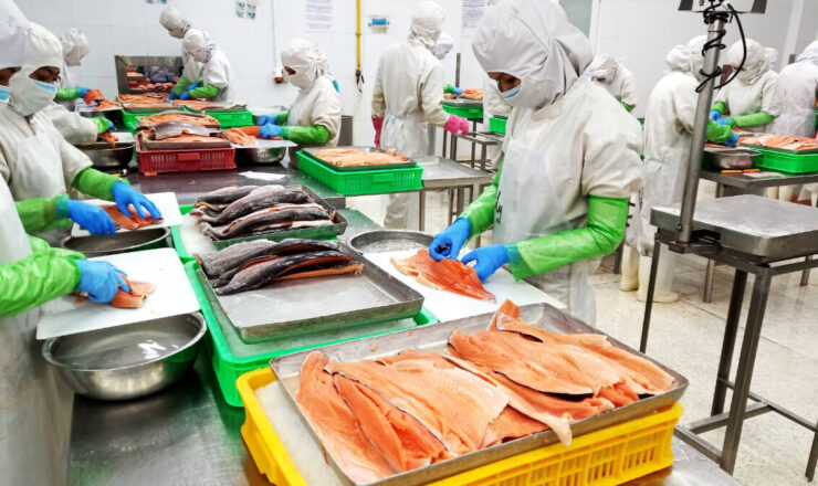 Outsourced Seafood Processing in Vietnam