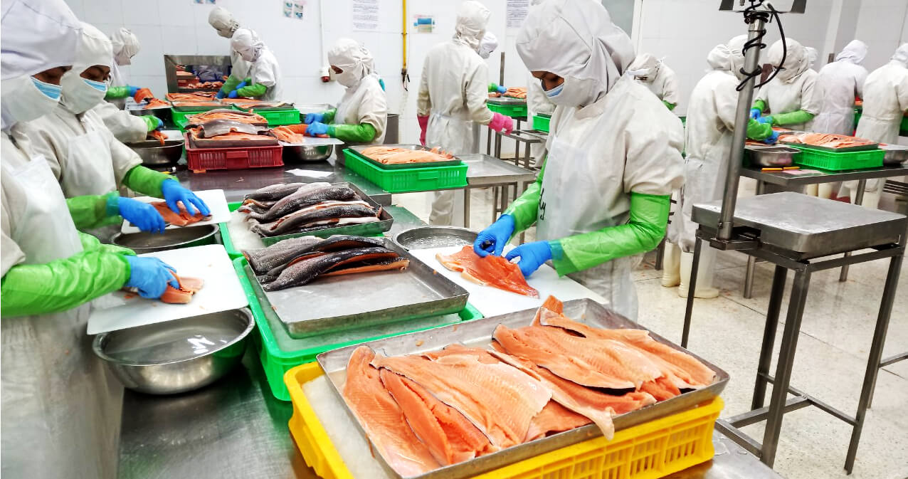 Outsourced Seafood Processing in Vietnam