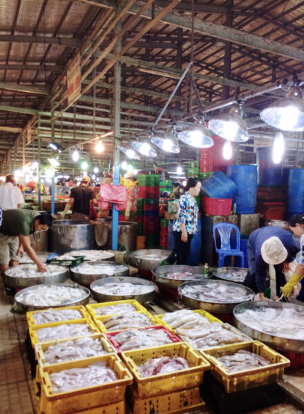 Vietnam Market