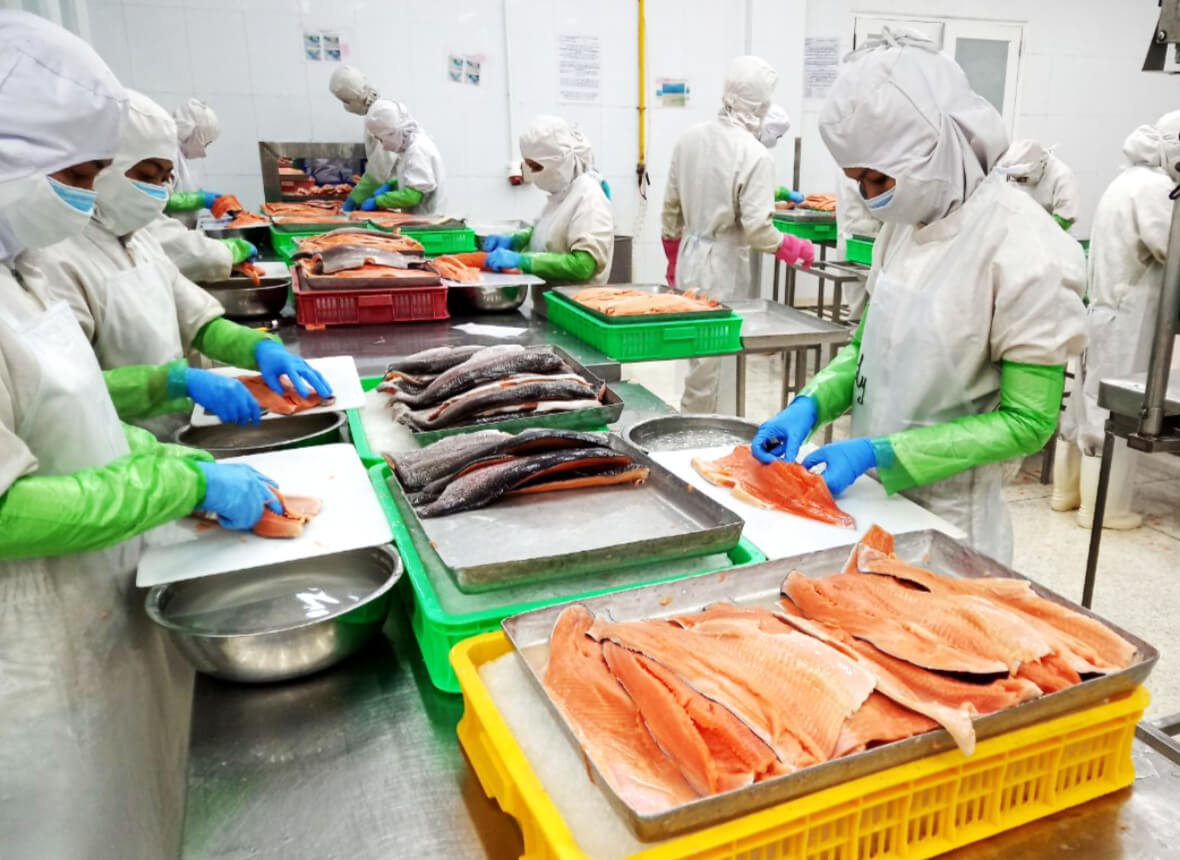 Vietnam Seafood Processing