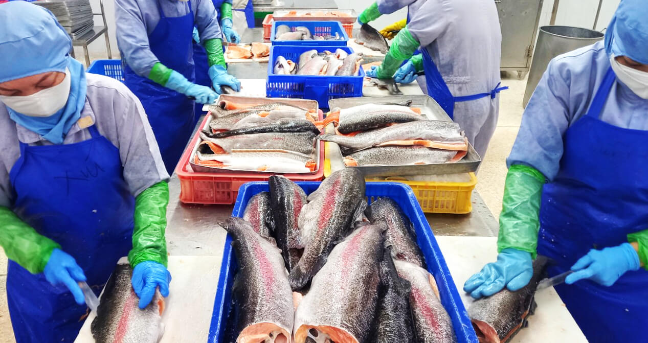 Outsourced Seafood Processing Workflow - Dover Seafoods Co., Ltd.